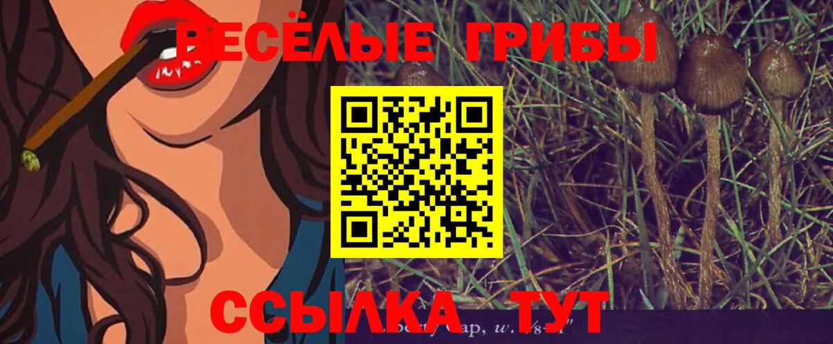 Галлюциногенные грибы Psilocybine cubensis Миасс